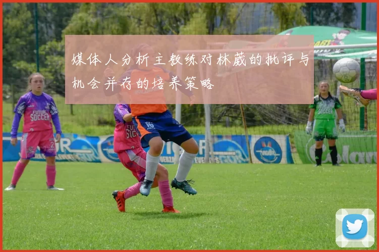 媒体人分析主教练对林葳的批评与机会并存的培养策略