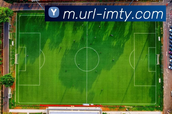 IM体育平台生态图